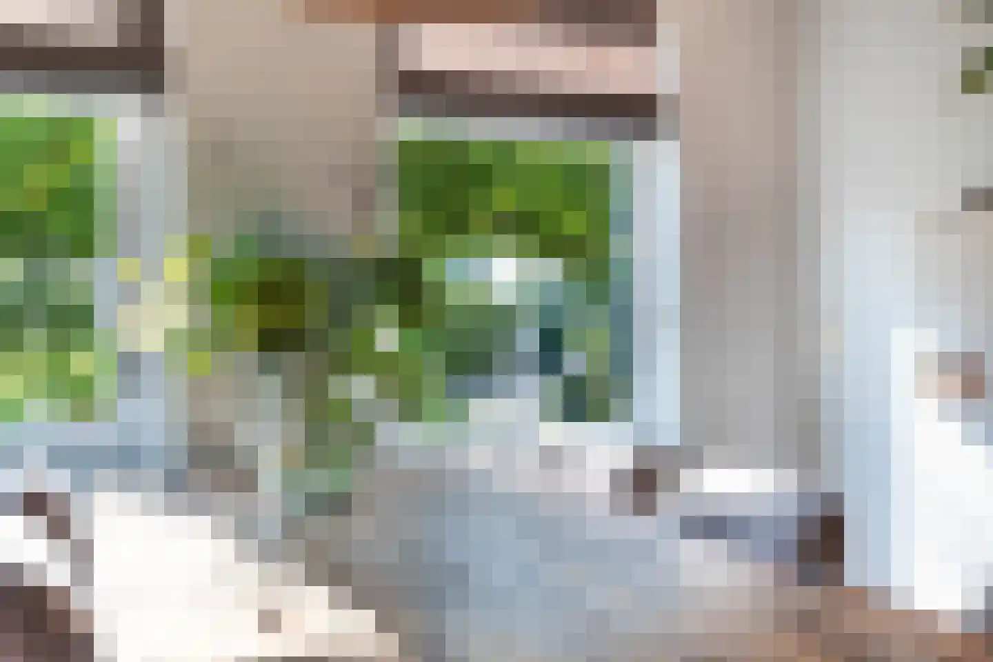 Koninginnekruid 12 Oudkarspel thumbnail 21