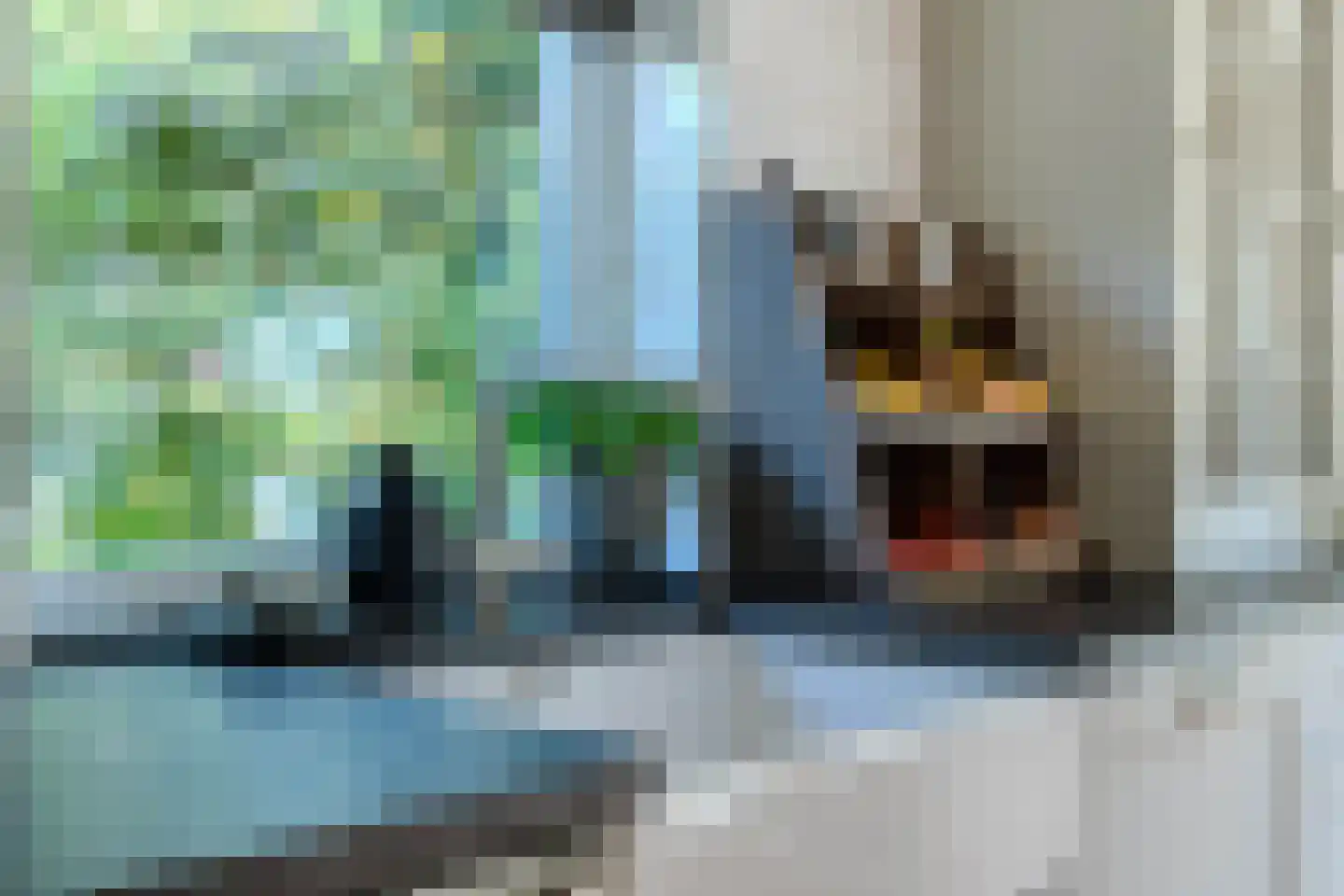 Koninginnekruid 12 Oudkarspel thumbnail 23