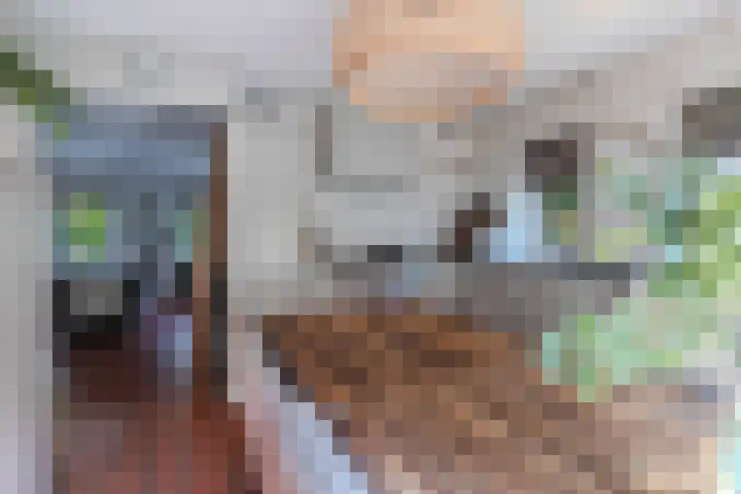 Koninginnekruid 12 Oudkarspel thumbnail 25
