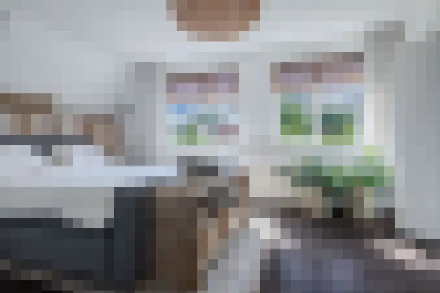Koninginnekruid 12 Oudkarspel thumbnail 29