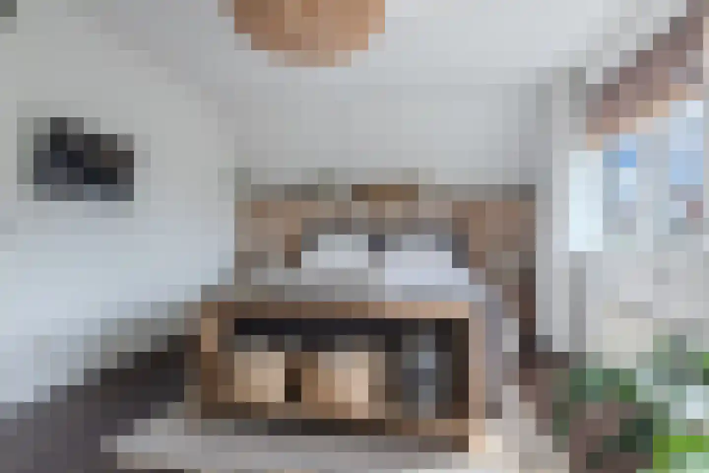 Koninginnekruid 12 Oudkarspel thumbnail 30