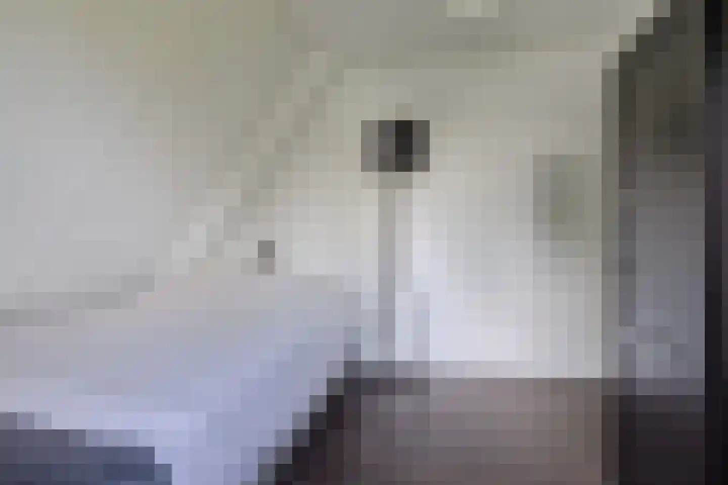 Koninginnekruid 12 Oudkarspel thumbnail 34