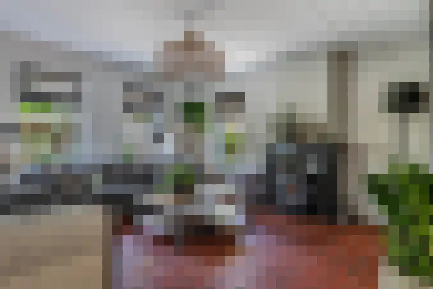 Koninginnekruid 12 Oudkarspel thumbnail 4