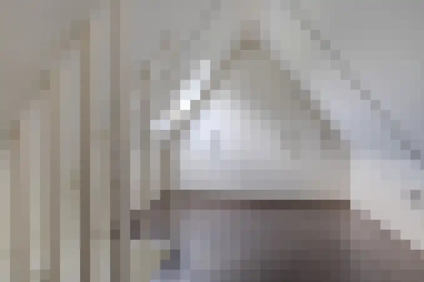 Koninginnekruid 12 Oudkarspel thumbnail 44