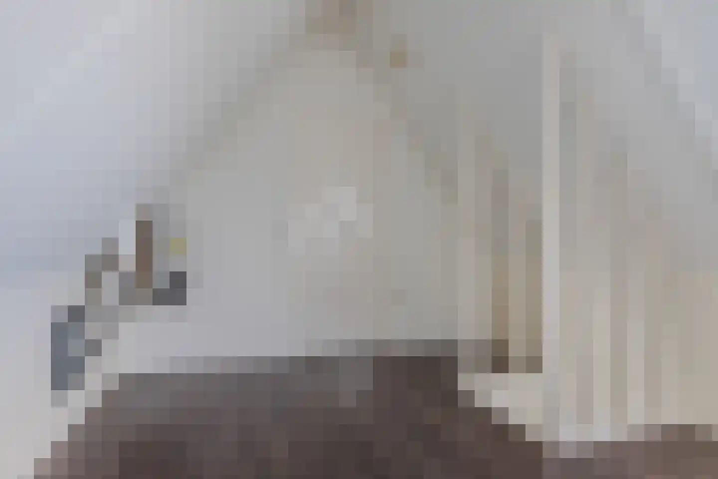 Koninginnekruid 12 Oudkarspel thumbnail 45
