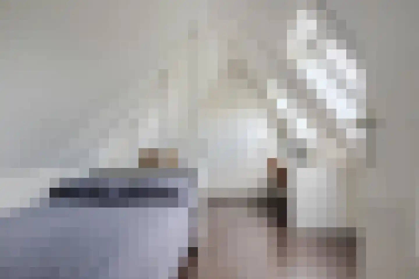 Koninginnekruid 12 Oudkarspel thumbnail 46