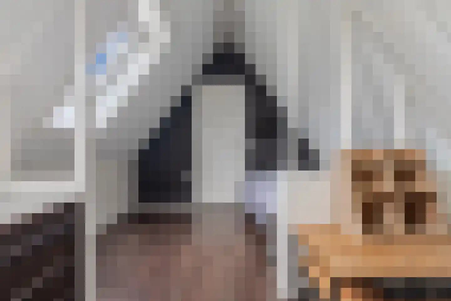 Koninginnekruid 12 Oudkarspel thumbnail 48