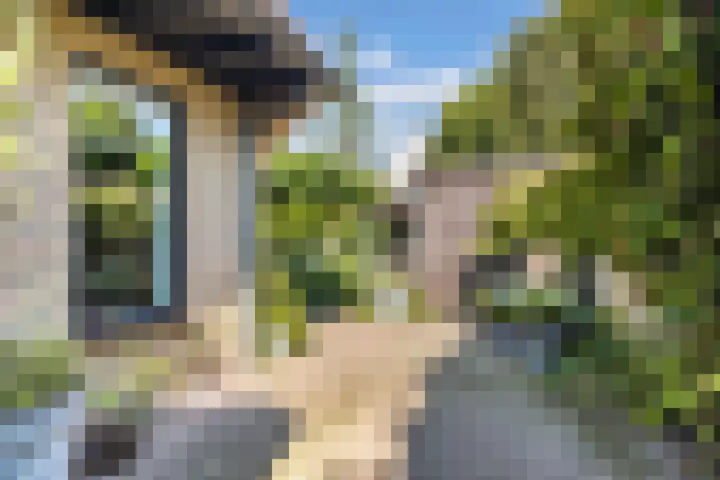 Koninginnekruid 12 Oudkarspel thumbnail 50