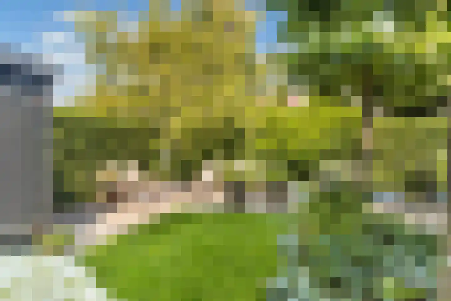 Koninginnekruid 12 Oudkarspel thumbnail 51