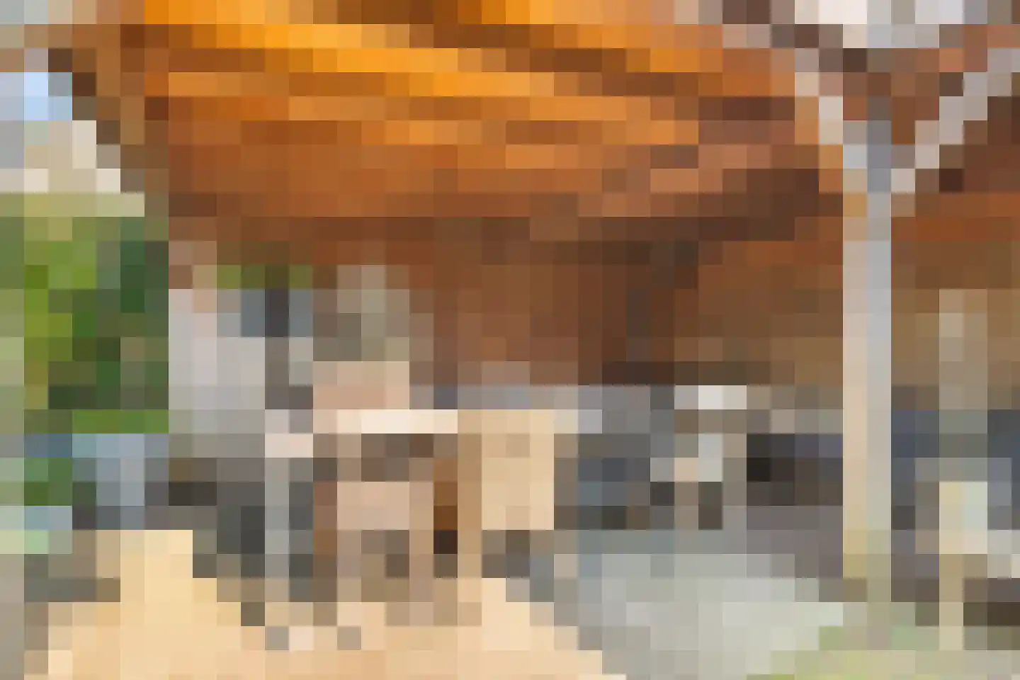 Koninginnekruid 12 Oudkarspel thumbnail 52