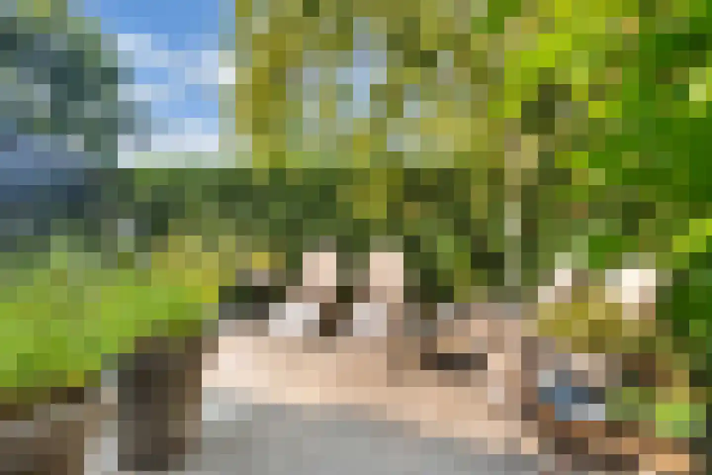 Koninginnekruid 12 Oudkarspel thumbnail 54