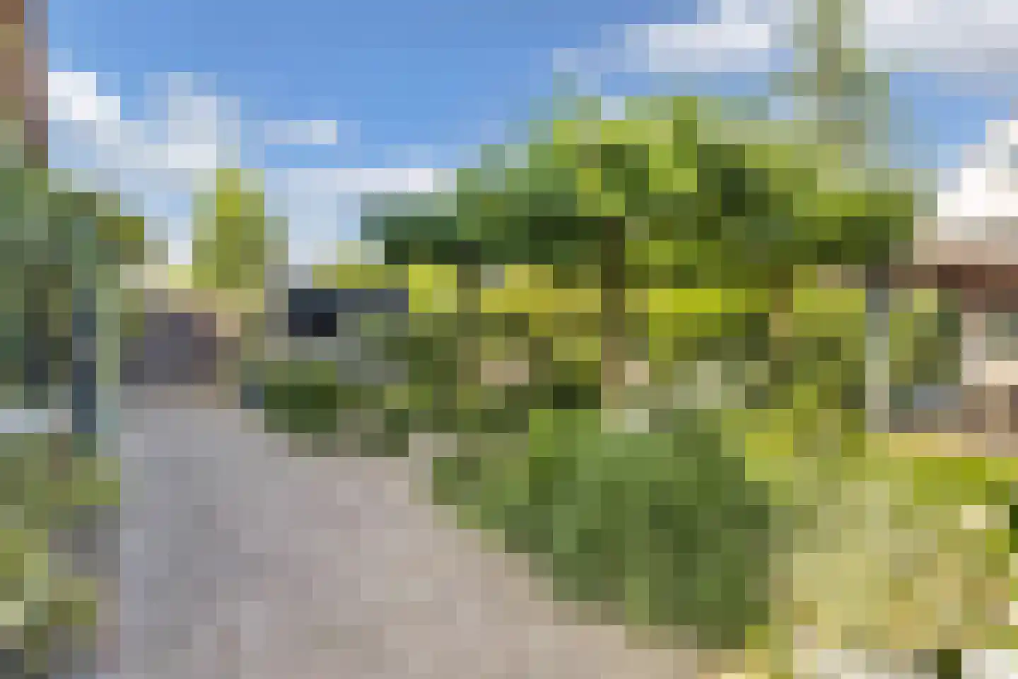 Koninginnekruid 12 Oudkarspel thumbnail 57