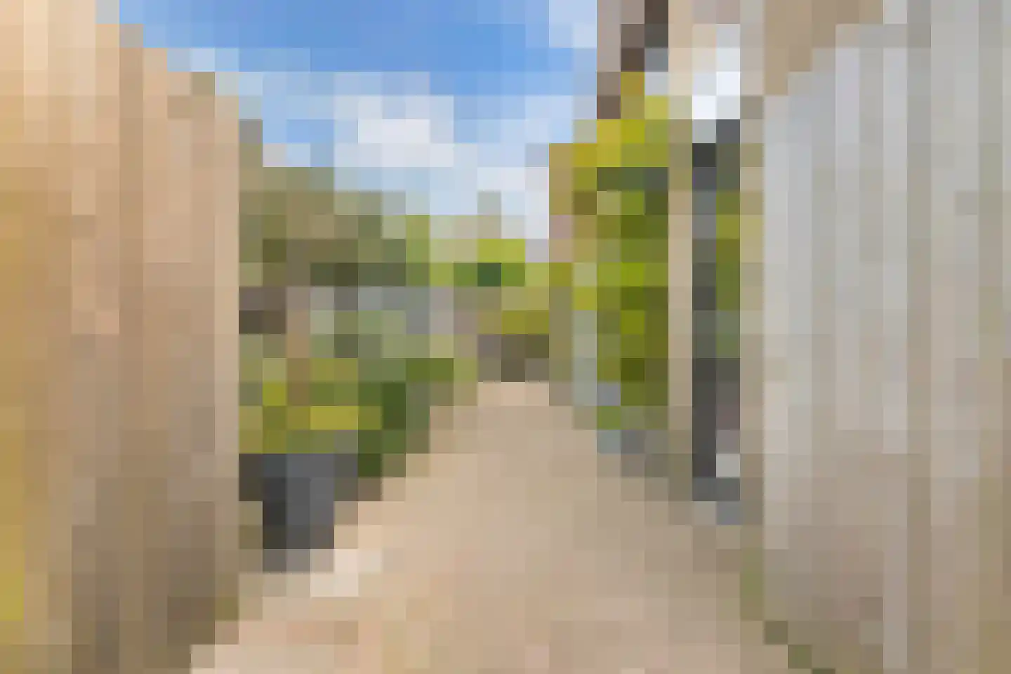 Koninginnekruid 12 Oudkarspel thumbnail 59