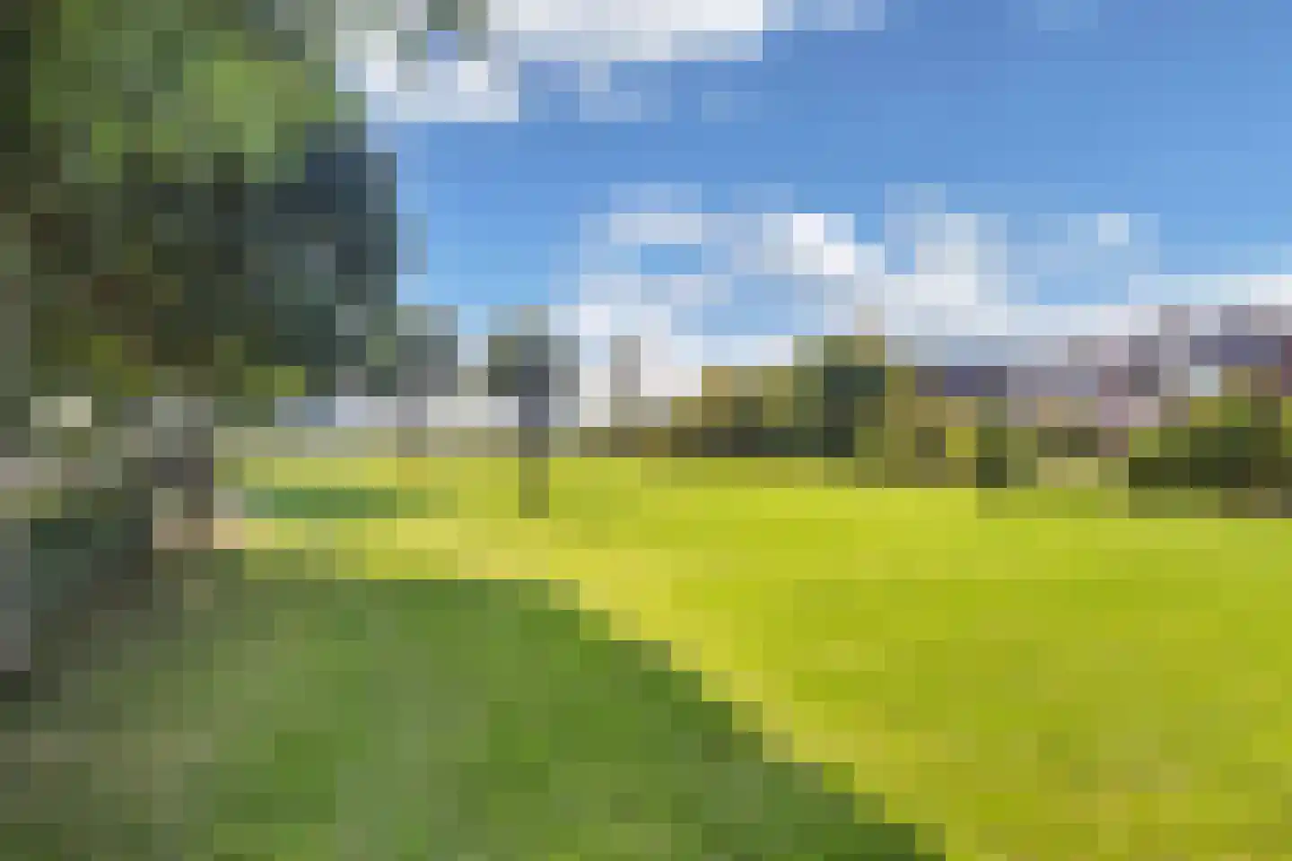 Koninginnekruid 12 Oudkarspel thumbnail 60