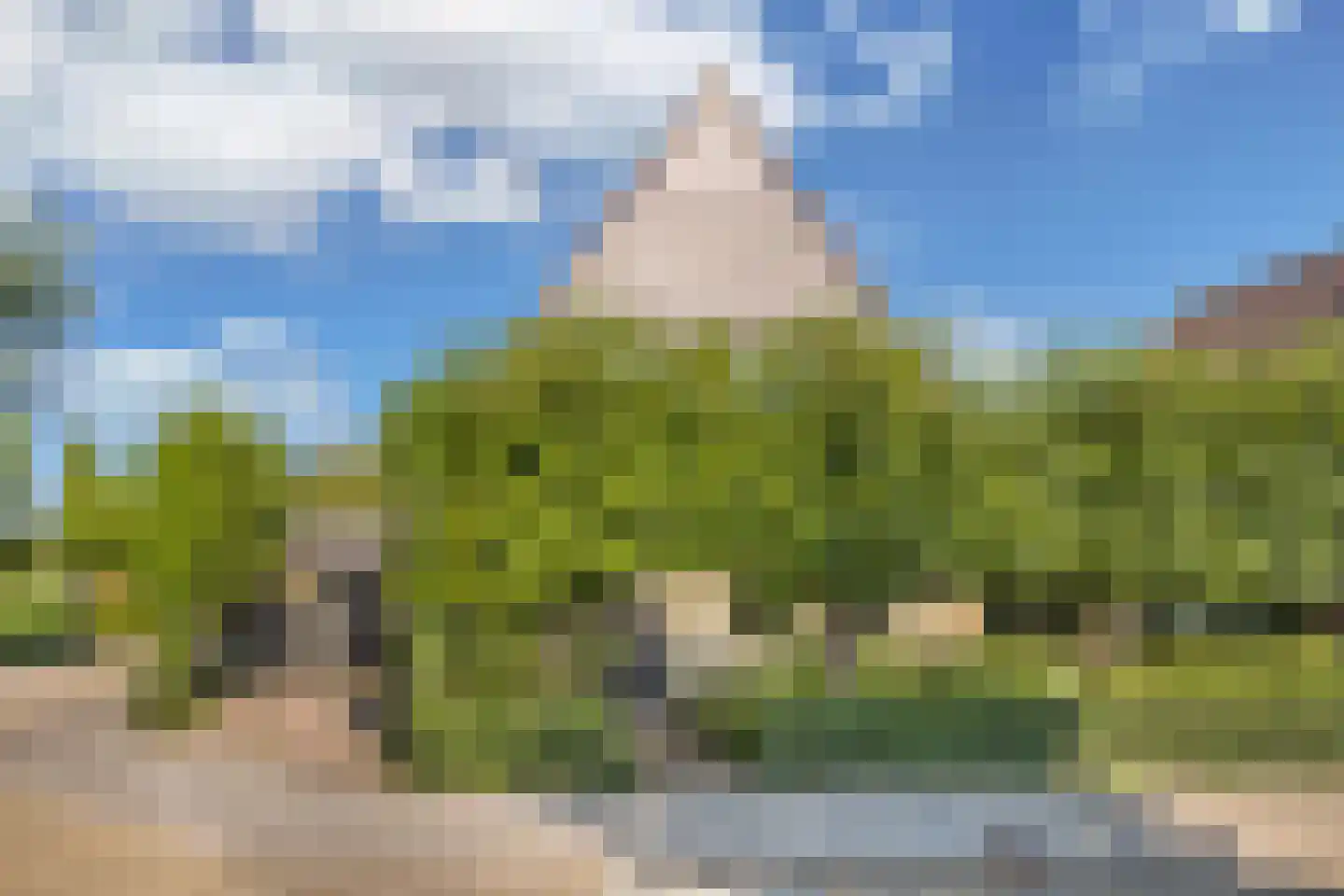 Koninginnekruid 12 Oudkarspel thumbnail 67