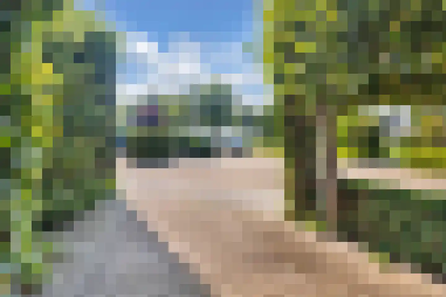 Koninginnekruid 12 Oudkarspel thumbnail 9