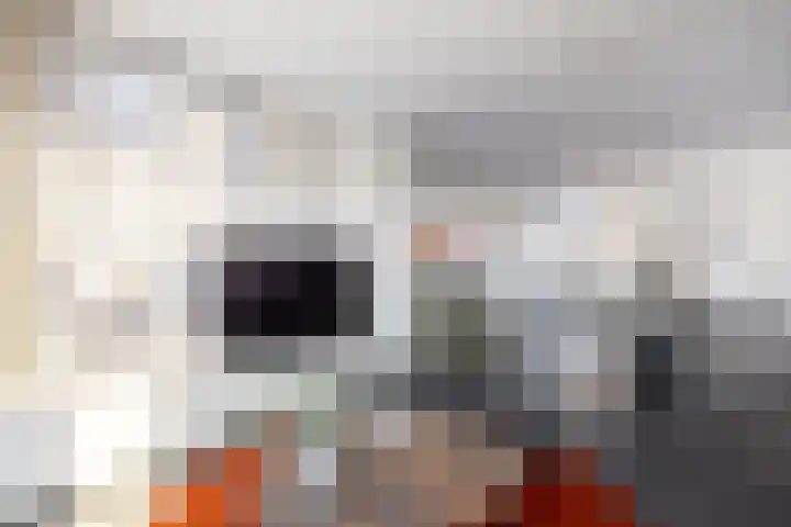 Koninginnekruid 16 Oosthuizen thumbnail 13