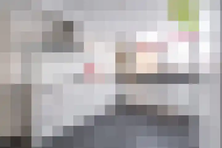Koninginnekruid 16 Oosthuizen thumbnail 20