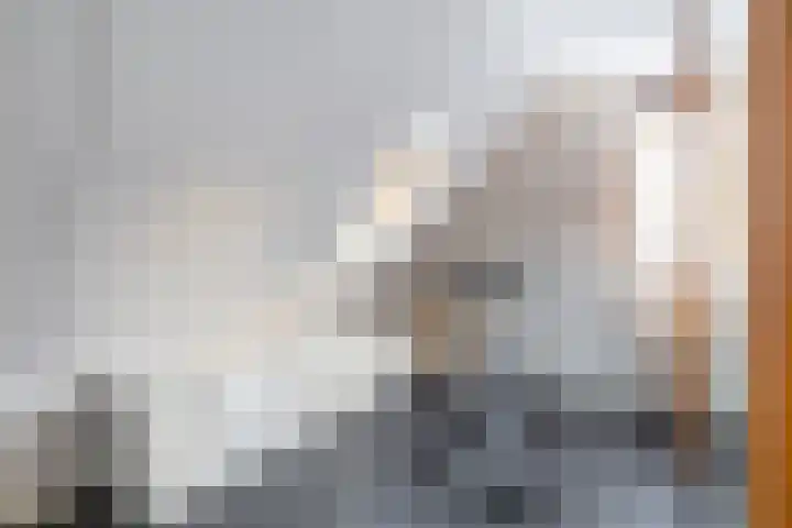 Koninginnekruid 16 Oosthuizen thumbnail 35