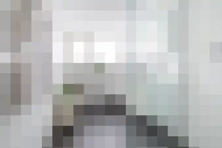 Koninginnekruid 16 Oosthuizen thumbnail 37