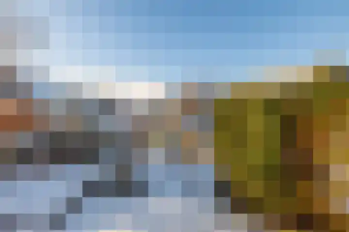 Koninginnekruid 16 Oosthuizen thumbnail 39