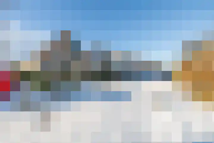 Koninginnekruid 16 Oosthuizen thumbnail 4