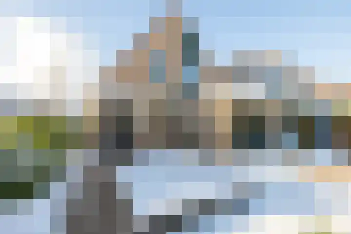 Koninginnekruid 16 Oosthuizen thumbnail 44