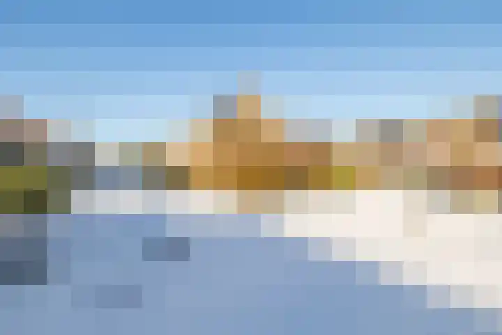 Koninginnekruid 16 Oosthuizen thumbnail 46