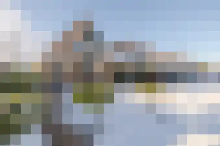 Koninginnekruid 16 Oosthuizen thumbnail 5