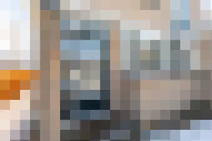 Koninginnekruid 16 Oosthuizen thumbnail 6
