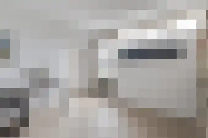 Koninginnelaan 10 Doetinchem thumbnail 35