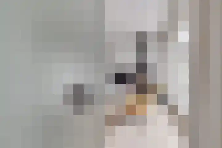 Koninginnelaan 10 Doetinchem thumbnail 36