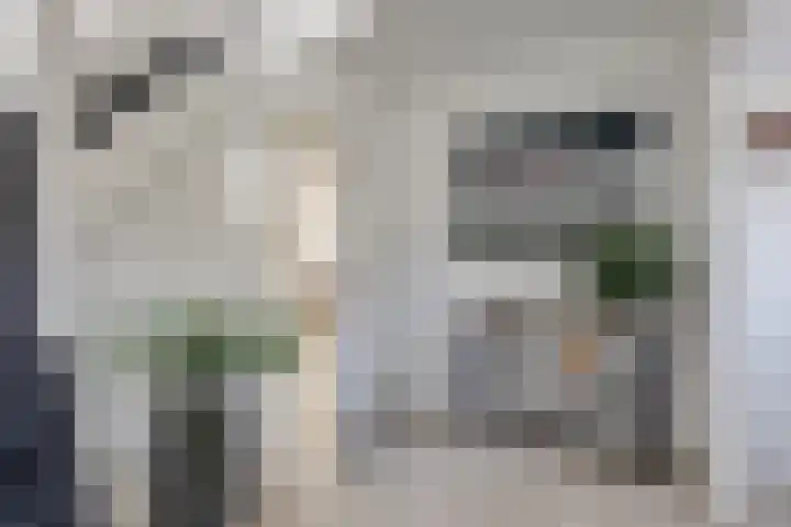 Koninginnelaan 10 Doetinchem thumbnail 41