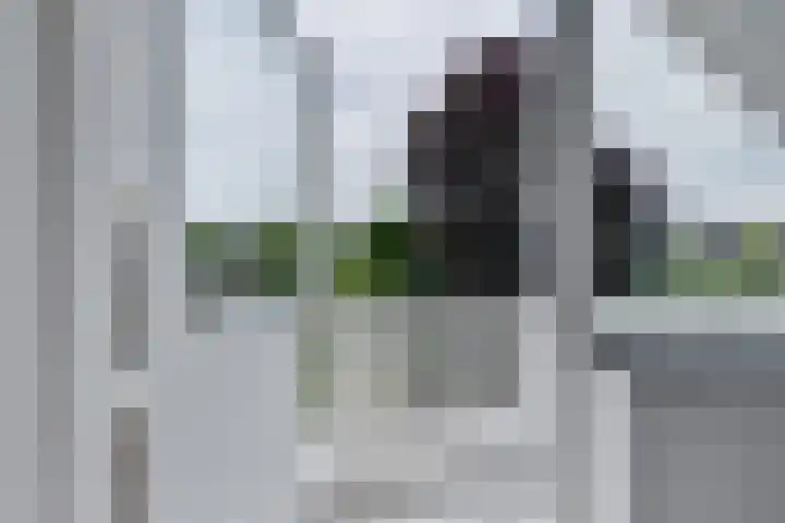 Koninginnelaan 10 Doetinchem thumbnail 48