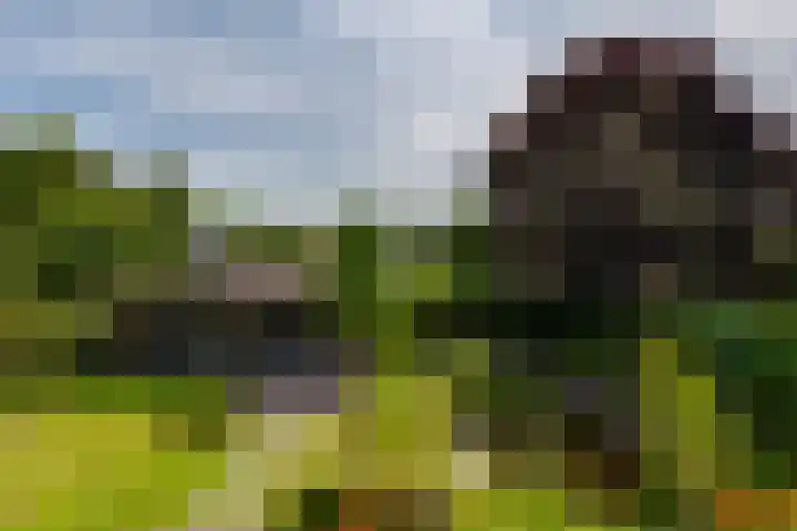Koninginnelaan 10 Doetinchem thumbnail 49