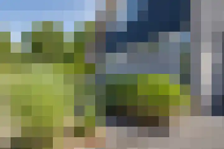 Koninginnelaan 10 Doetinchem thumbnail 5