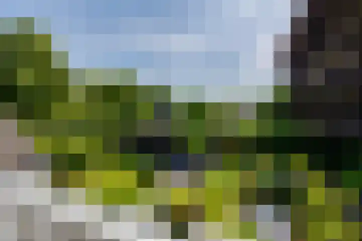 Koninginnelaan 10 Doetinchem thumbnail 50