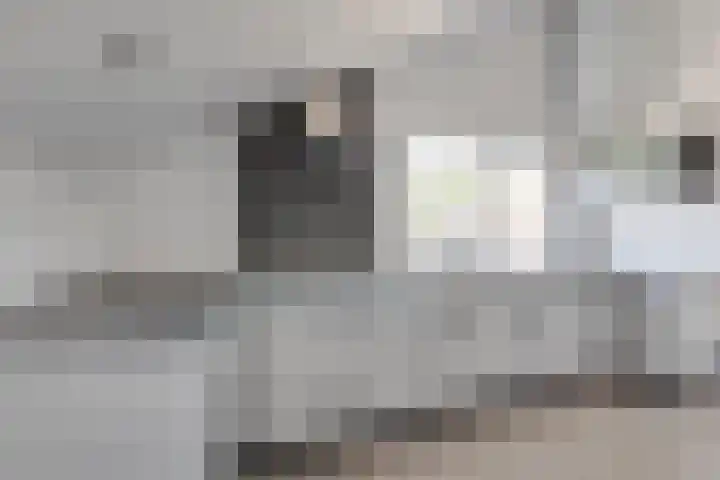 Koninginnelaan 10 Doetinchem thumbnail 54