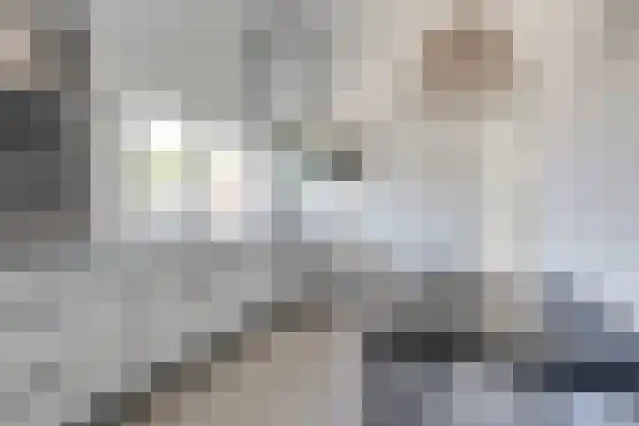 Koninginnelaan 10 Doetinchem thumbnail 55