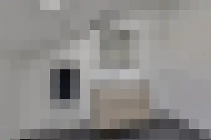 Koninginnelaan 10 Doetinchem thumbnail 60