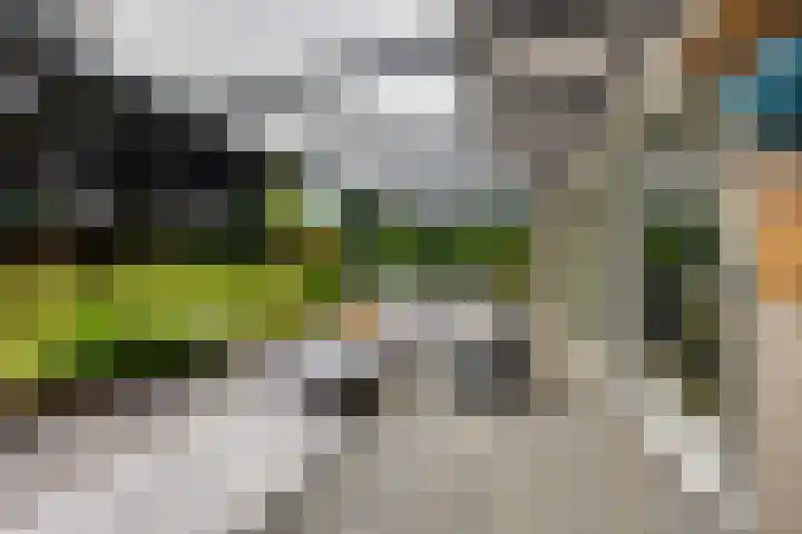 Koninginnelaan 10 Doetinchem thumbnail 63