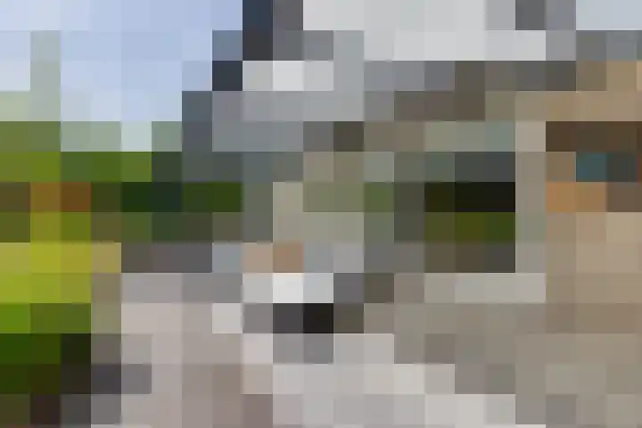 Koninginnelaan 10 Doetinchem thumbnail 64