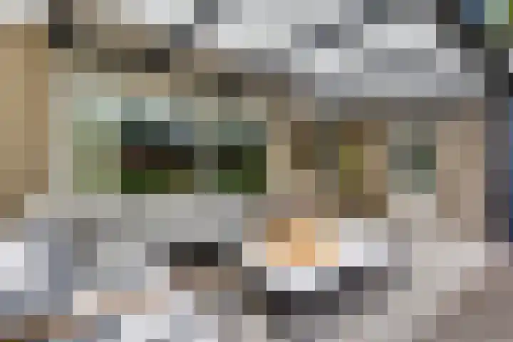 Koninginnelaan 10 Doetinchem thumbnail 65