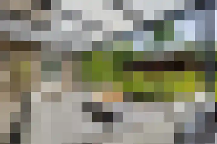 Koninginnelaan 10 Doetinchem thumbnail 66