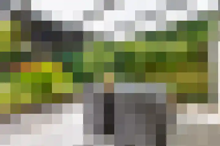 Koninginnelaan 10 Doetinchem thumbnail 67