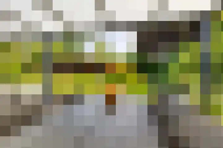 Koninginnelaan 10 Doetinchem thumbnail 68