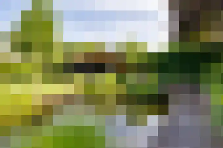 Koninginnelaan 10 Doetinchem thumbnail 69
