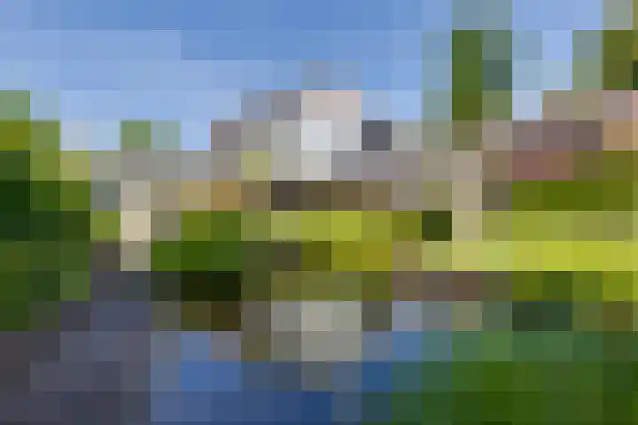 Koninginnelaan 10 Doetinchem thumbnail 71
