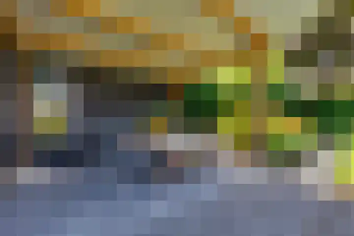 Koninginnelaan 10 Doetinchem thumbnail 77