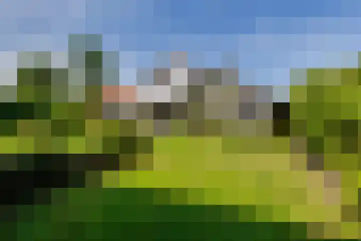 Koninginnelaan 10 Doetinchem thumbnail 79
